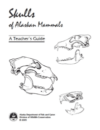 Animal Skull Identification