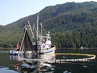 Alaska Commercial Fishing