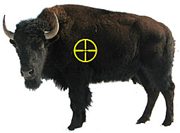 bison_bullseye.jpg