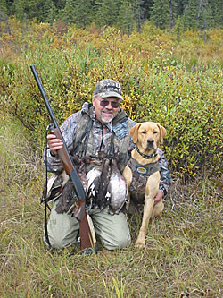 hound hunting equipment
