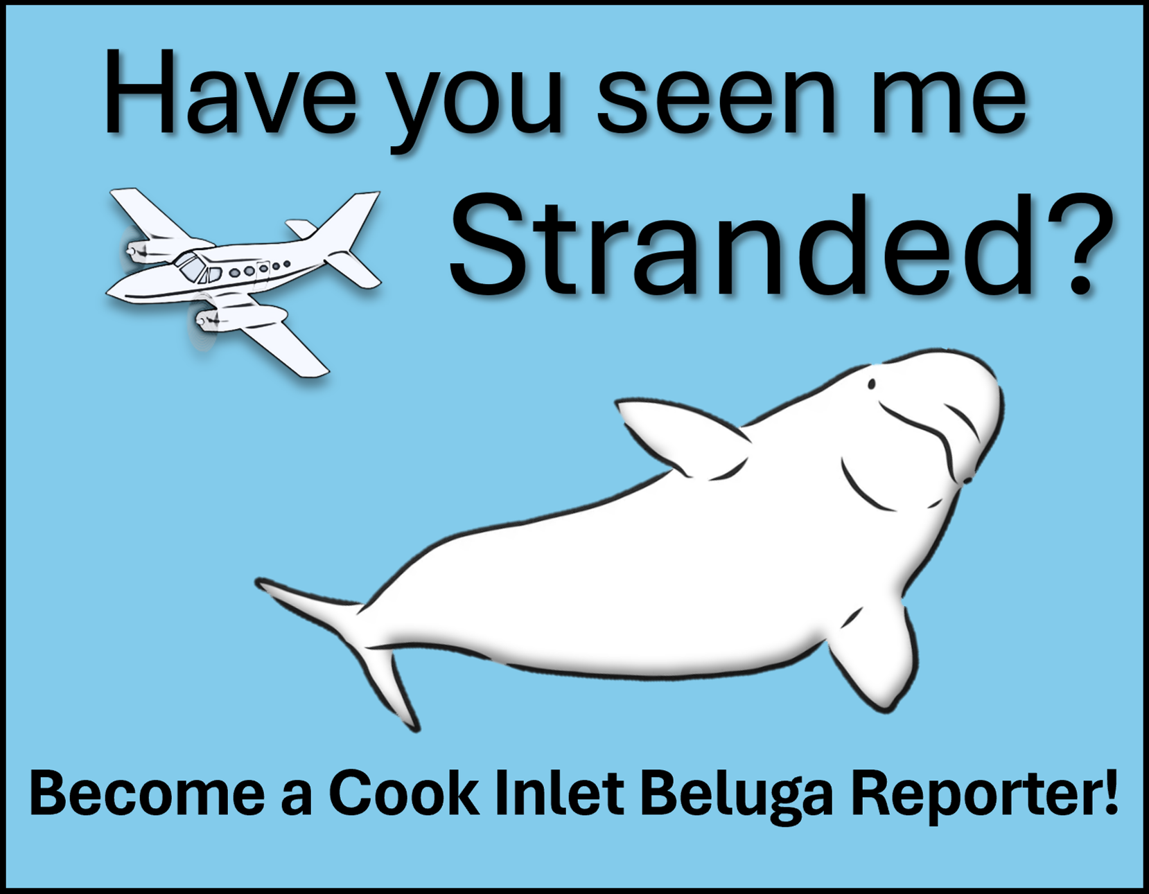 Beluga Stranding Reporting