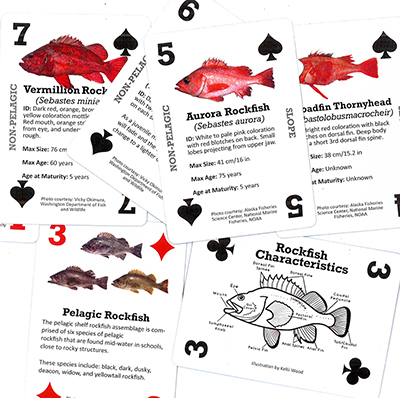 Rockfish Cards Aid Outreach, Alaska Department of Fish and Game