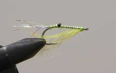 Sockeye on the (shrimp) fly, Alaska Department of Fish and Game