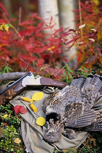 Bird Hunting and Sharing a Wing and a Tail, Alaska Department of Fish and  Game