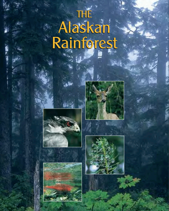 Alaska Rainforest Booklet