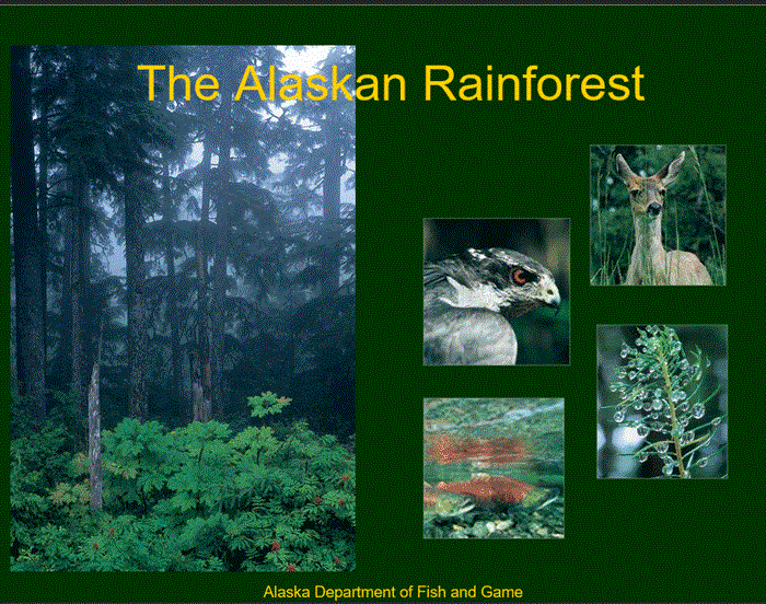Alaska Rainforest Slideshow