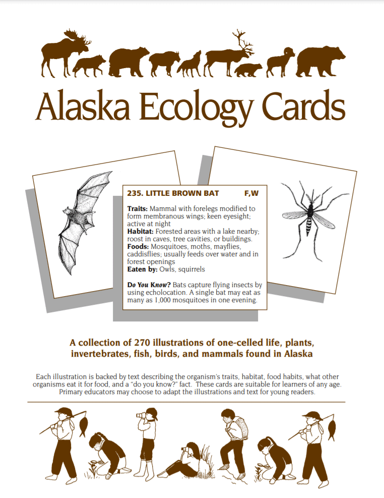Alaska Ecology Cards