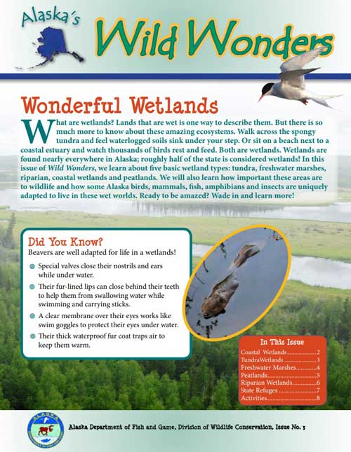 Wetlands! - Alaska's Wild Wonders (2013)