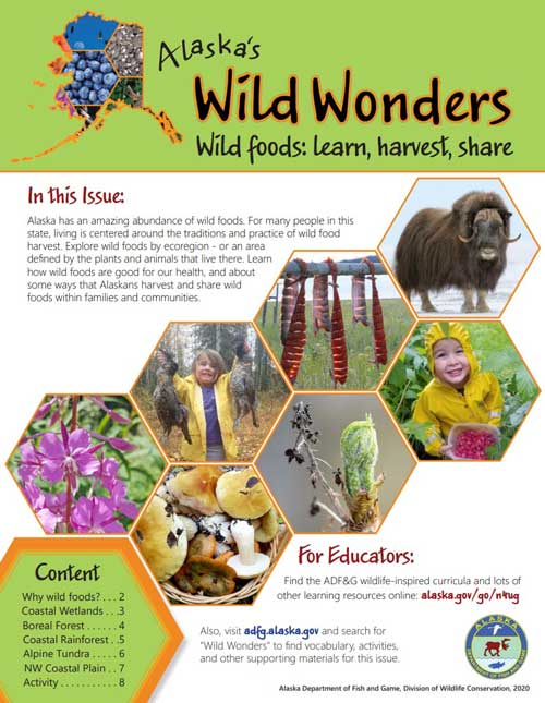 Wild Foods - Alaska's Wild Wonders (2020)