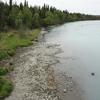The Kasilof River is an approximately 20-mile river located on the Kenai Peninsula. The river drains water into Cook Inlet from a large glacial lake—Tustumena Lake.