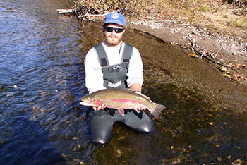 hefty Montana Creek rainbow caught September 16, 2003, just downstream of Helena Road off Talkeetna Spur Road.