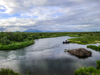 Togiak Fishing