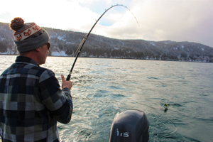 Sport Fishing Opportunities - Lower Cook Inlet Management Area