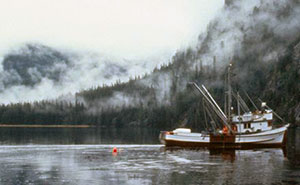 A purse seiner floats in front of mist covered forests
