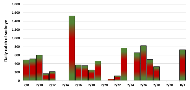 Bar graph of data per day for sockeye salmon.