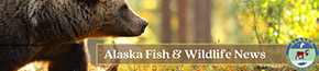 Alaska Fish and Wildlife News