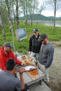 Photo of Aniak team identifying salmon