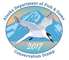 The 2017 stamp features the Aleutian tern. The Aleutian tern is a seabird that nests in colonies along Alaska's vast coastline and overwinters in the waters off Southeast Asia. Alaska is the only place in North America where Aleutian terns breed. 2017 Conservation Stamp - Alaska Department of Fish and Game (ADFG)