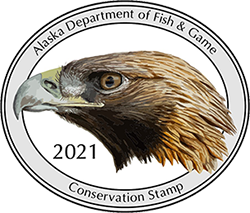 The 2021 stamp depicts a golden eagle by artist Bryce W. Robinson. The golden eagles symbolize Alaska's wild places, rugged people, and awe-inspiring wildlife encounters. Their intense, silent stare stirs the emotions of anyone lucky enough to have a close encounter. 2021 Conservation Stamp - Alaska Department of Fish and Game (ADFG)