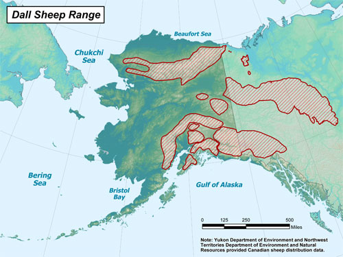 Dall sheep range map