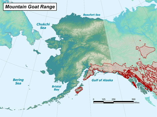 Mountain goat range map