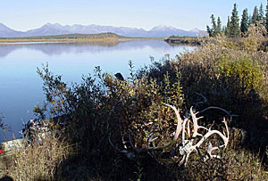 Photo of Alaska scenery