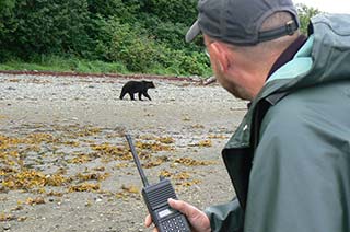 Non-defensive bear passing at distance on riverbank