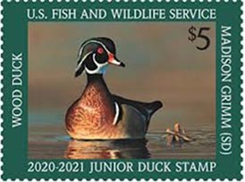 2019 Junior Duck Stamp