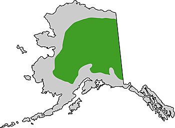 Boreal Forest in Alaska - Extent, Alaska Department of Fish and Game