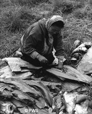 Subsistence fishing on the tundra
