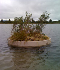 Artificial island for nesting