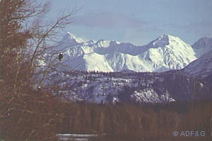 Chilkat River Bald Eagle Preserve