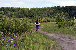photo of a hiker on a trail