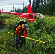 Habitat Biologist conducts helicopter-supported electrofishing