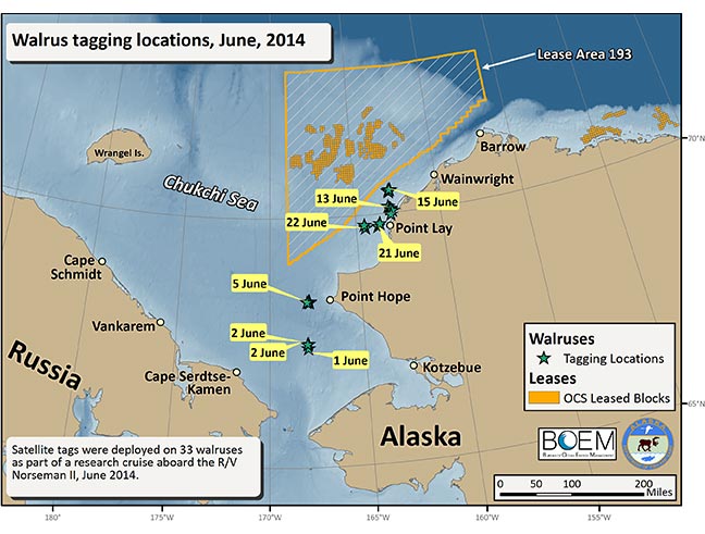 Figure 1. Walrus Tagging Locations, June 2014