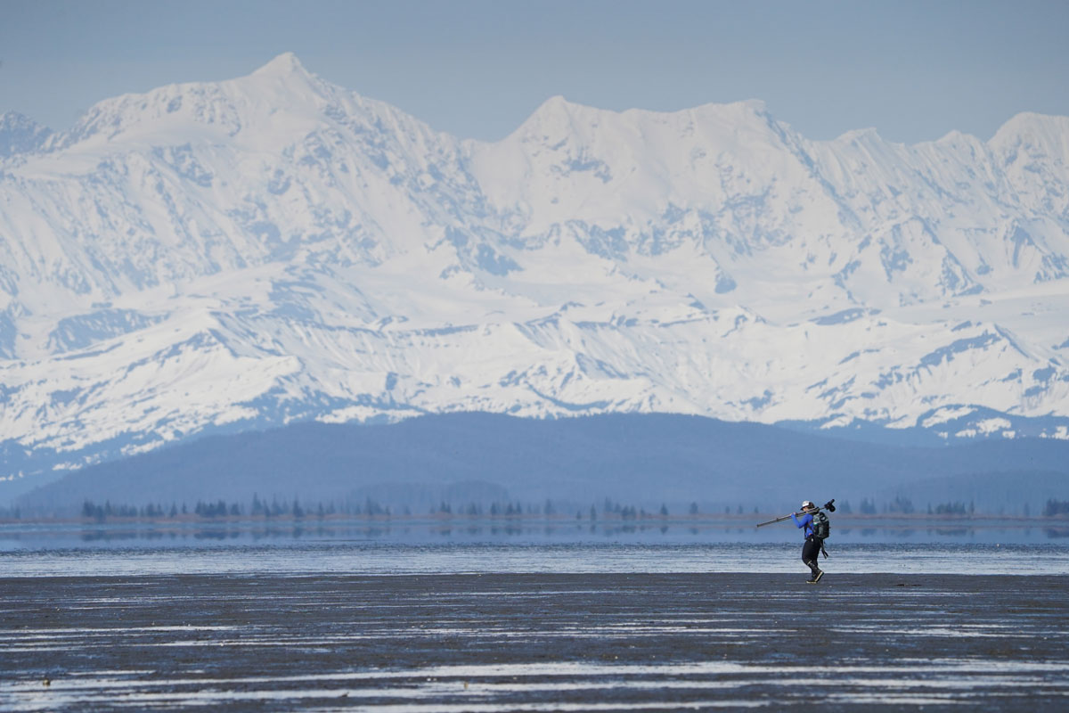 Photo by Blake Richard - Alaska Department of Fish and Game (ADFG)
