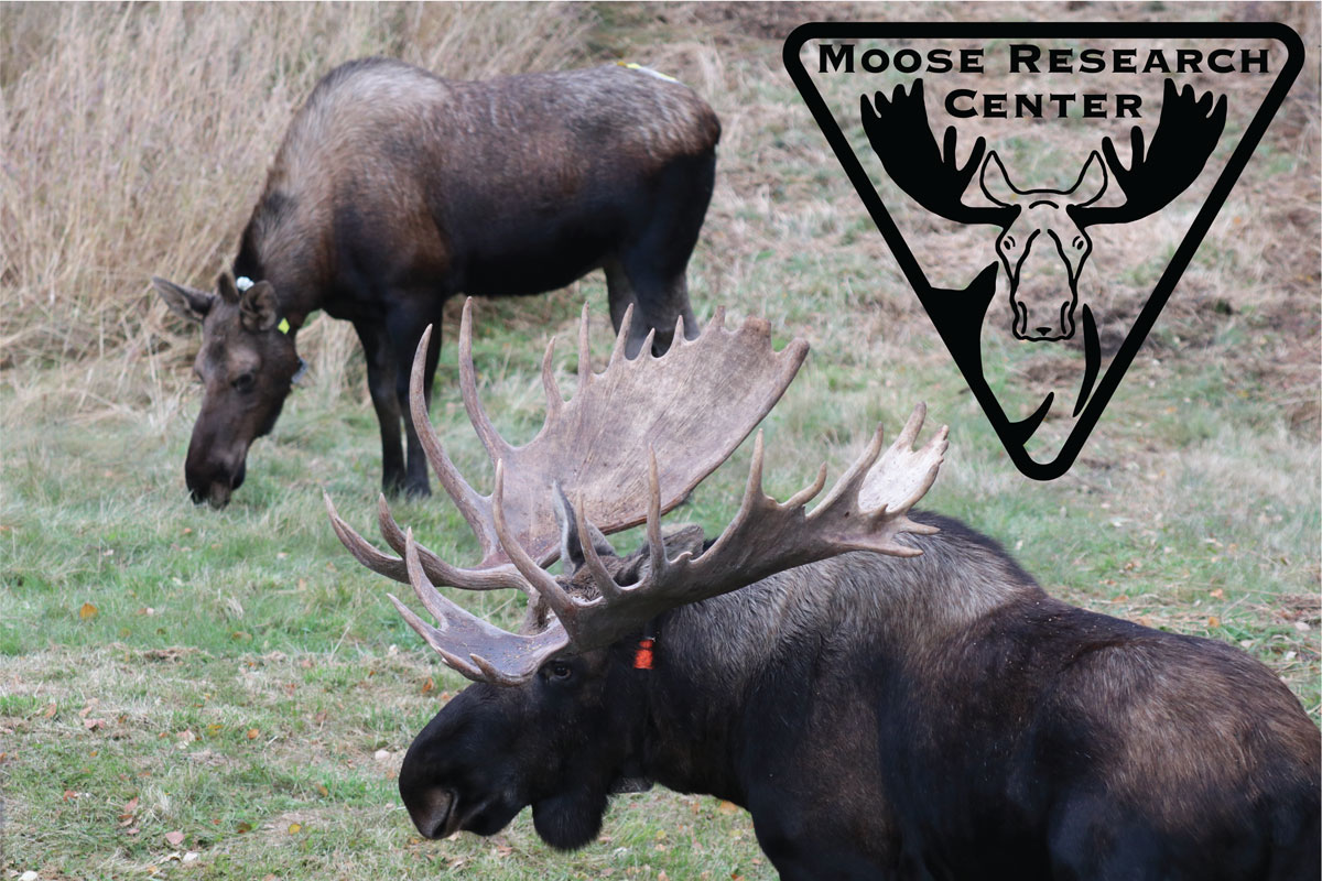 Kenai Moose Research Center Logo (photo credit ADFG 2023 Daniel P. Thompson)