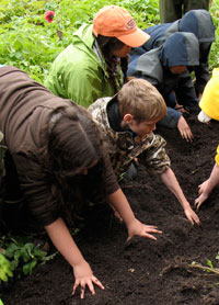 Group of people planting