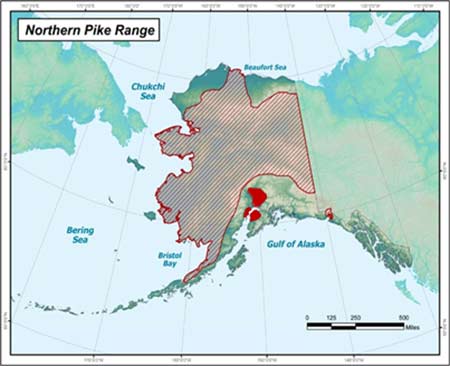 Map showing portions of Alaska where pike are invasive
