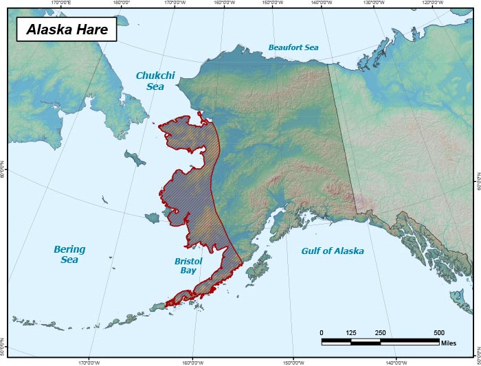 Range map of Alaska Hare in Alaska