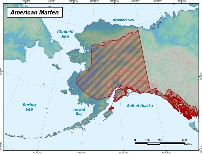 Range map of American Marten in Alaska
