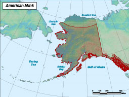 American Mink range map