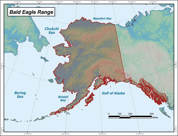 Range map of Bald Eagle in Alaska