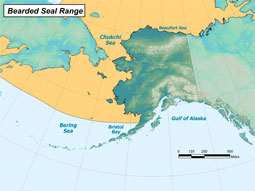 Bearded Seal range map