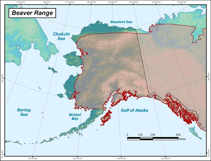 Range map of Beaver in Alaska