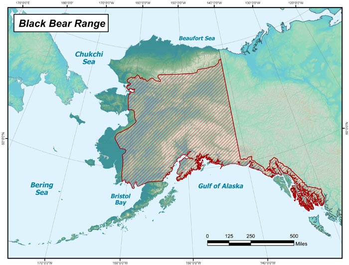 black bear range map