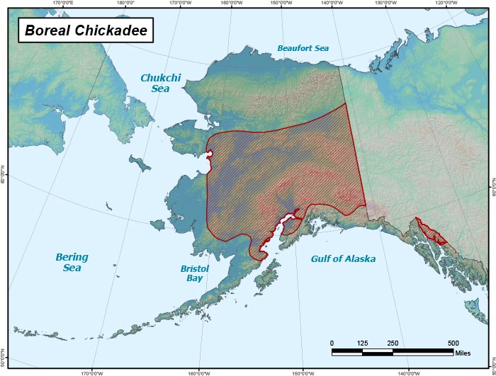 Range map of Boreal Chickadee in Alaska