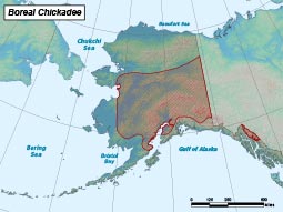 Boreal Chickadee range map