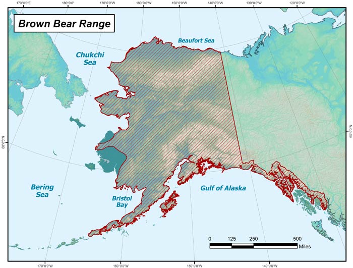 Range map of Brown Bear in Alaska