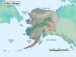 Caribou range map